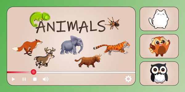 Animals - 3 - custom-progressbar.com