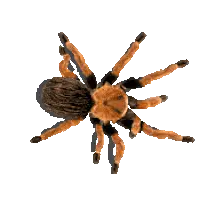 Progress bar thumbnail