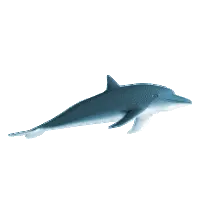 Progress bar thumbnail