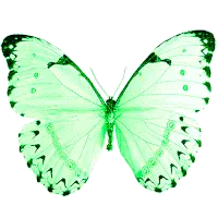 Progress bar thumbnail