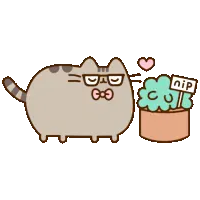 Progress bar thumbnail