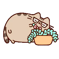 Progress bar thumbnail