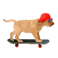 Progress bar thumbnail