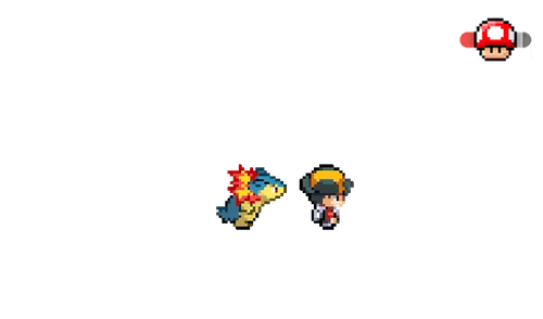 Pokémon Trainer and His Pokémon
