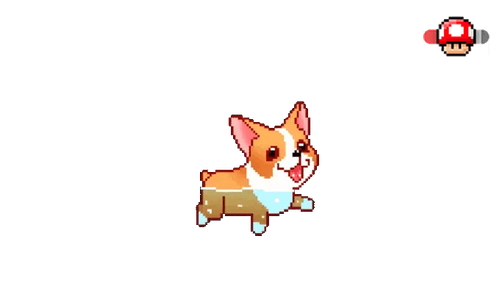 Swimming Corgi Dog