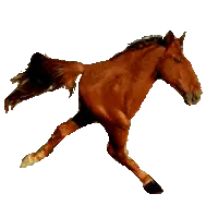 Progress bar thumbnail